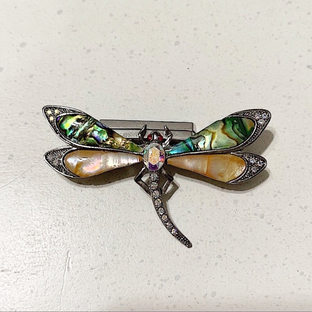 Beautiful dragonfly brooch